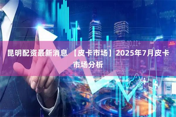 昆明配资最新消息 【皮卡市场】2025年7月皮卡市场分析