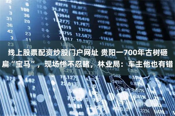 线上股票配资炒股门户网址 贵阳一700年古树砸扁“宝马”，现场惨不忍睹，林业局：车主他也有错