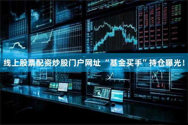线上股票配资炒股门户网址 “基金买手”持仓曝光！