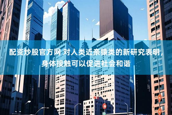 配资炒股官方网 对人类近亲猿类的新研究表明，身体接触可以促进社会和谐