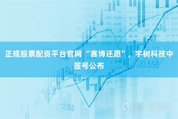 正规股票配资平台官网 “赛博还愿”，宇树科技中签号公布