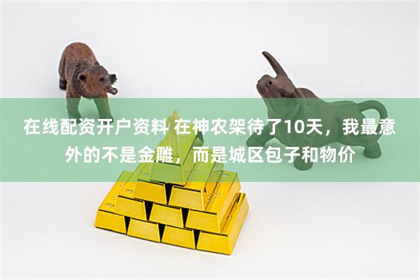 在线配资开户资料 在神农架待了10天，我最意外的不是金雕，而是城区包子和物价